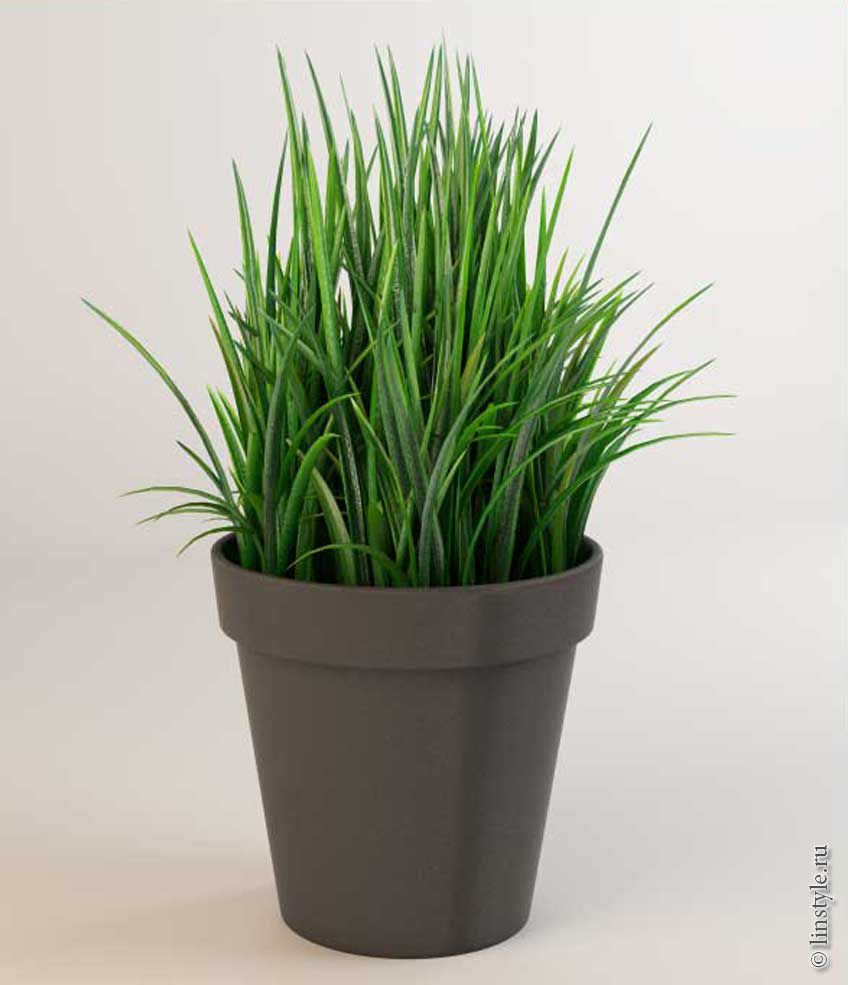 3D модель растения